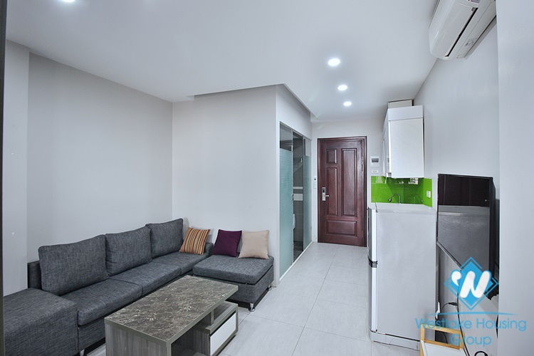 Lake view apartment for rent in Trinh Cong Son st, Tay Ho